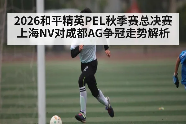 2026和平精英PEL秋季赛总决赛上海NV对成都AG争冠走势解析